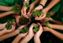Huerto Escolar Ecológico: Educando con valores huerto escolar ecologico