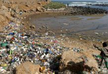 Limpiar de plástico el océano tiene solución y está en manos de cinco países limpiar oceano