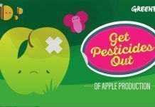 Greenpeace encuentra un cóctel químico en manzanas de producción convencional manzanas pesticidaas
