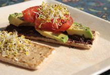 Receta: Crema de berenjena con germinados Receta: Crema de berenjena con germinados