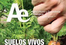 El suelo, tema principal del número 21 de la Revista Ae suelosvivos suelos para vida