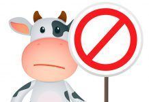 Leche de vaca: ¿alimento creador de salud? Leche de vaca ¿Alimento creador de salud?