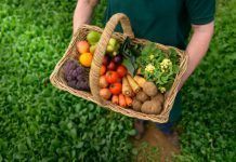 La superficie ecológica aumenta un 12,5% en Andalucía en 2015 ANDALUICA AUMENTO ESPECTACULAR