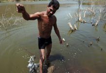 La ONU avisa de que la inseguridad alimentaria alcanzará su pico en 2050 Alimentación-COP21 th 1cce678baa2865fe866ba90e481edd63
