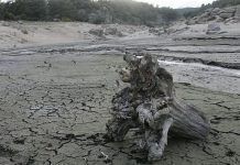 Espanya ha perdut el 20% de la seva aigua en els últims 20 anys Espana-ha-perdido-el-20-de-su-agua-en-los-ultimos-20-anos