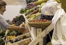 BioCultura Sevilla. La huerta «bio» de Europa