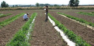 Agriculture should play its part to prevent climate change agriculture climate change
