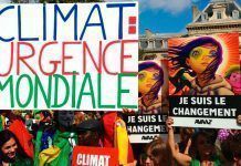 COP21 de París, el reto empieza ahora. Por Arturo Larena Larena cop21 paris