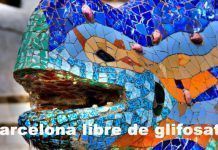 Barcelona dice adiós al glifosato dragon copia