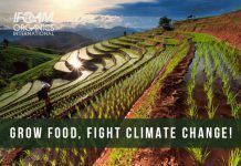 Sin políticas que den poder a los agricultores para cultivar alimentos y combatir el cambio climático, el acuerdo de París no tendrá éxito growfoodfightclimatechange