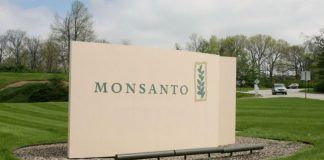 Monsanto Cuts 16% of Work Force as Sales in Roundup Herbicide Fall 34% Monsanto 644x363