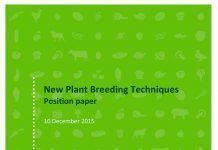The organic sector urges the Comission to classify new genetic engineering techniques as GMOs new plant breeding techniques