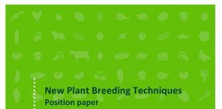 The organic sector urges the Comission to classify new genetic engineering techniques as GMOs new plant breeding techniques