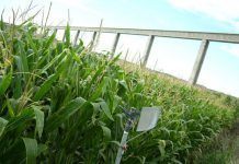 La certificación ecológica en Andalucía produccion bio certificacion andalucia