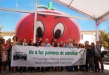 El Parlamento Europeo en contra de permitir patentes de técnicas tradicionales de mejora vegetal report no patents on plants 2015