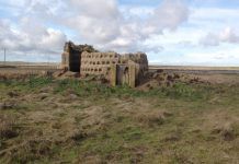 2015 y 2011, los años más cálidos ruinas palomar