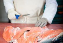 Cuando el salmón creyó ser pollo Cuando el salmón creyó ser pollo