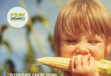 Monsanto on trial for Crimes Against Human Health and Envirnment in the International People’s Court 11828624 1629250800666689 3491882685915483699 n
