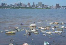 La manca de reciclatge podria portar al fet que els mars tinguin més plàstic que peixos La falta de reciclado podria llevar a que los mares tengan mas plastico que peces large