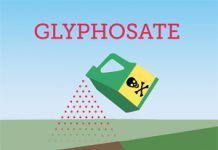 Monsanto’s Glyphosate now most heavily used weed-killer in history – nearly 75% of all Glyphosate ever sprayed on crops used in the last 10 Years SA GlyphGraphic