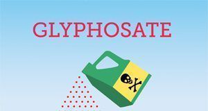 Monsanto’s Glyphosate now most heavily used weed-killer in history – nearly 75% of all Glyphosate ever sprayed on crops used in the last 10 Years SA GlyphGraphic