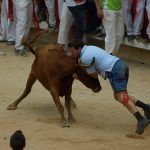 animales tradiciones