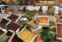 ¡Enhorabuena a la Comunidad Valenciana! 20% de agricultura ecológica para 2020 comunidad valenciana 20porciento