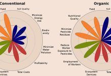 ¿La agricultura ecológica es clave para una alimentación mundial sostenible? conventional vs organic