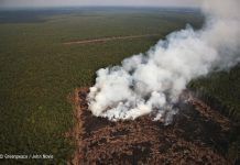 Colgate, Palmolive, Johnson & Johnson i Pepsico desforesten Indonèsia Boicot. Colgate Palmolive Johnson Johnson y Pepsico deforestan Indonesia