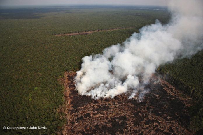 Boicot. Colgate Palmolive Johnson Johnson y Pepsico deforestan Indonesia Boicot. Colgate Palmolive Johnson Johnson y Pepsico deforestan Indonesia