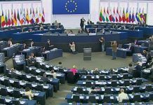 Post-2020 CAP reform – Work in the European Parliament intensifies as the elections loom EU PARLIAMENT