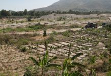 Haití, la crisis alimentaria golpea con dureza a millones de personas Haiti la crisis alimentaria golpea con dureza a millones de personas