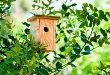 Convenio para promover la jardinería ecológica en los municipios ecol 1