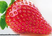 Fresas con pesticidas que pueden alterar tus hormonas fresa pesticidas