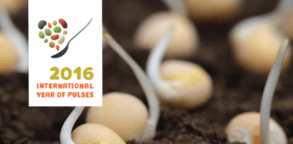 The United Nations General Assembly declared 2016 the International Year of Pulses versatility of pulses