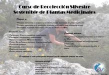 Curso de recolección silvestre sostenible de plantas medicinales, el 30 de abril en Alcocer de Planes (Alicante) 12973484 1081150228639051 6625993843328674671 o