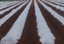 Un centenar de entidades piden acabar con glifosato, que la UE votará mañana agricultura plásticos th 1cce678baa2865fe866ba90e481edd63
