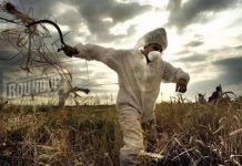 Portugal: el glifosat està contaminant el país Portugal el glifosato esta contaminando el pais large