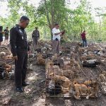 bienestar animal ciencia conciencia
