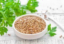 El coriandre, usos i propietats de les llavors. Per Fidel Pascual cilantro usos y propiedades