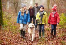 Pasos para disfrutar seguros de las excursiones con niños ecoturismo niños montaña