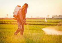 La Comissió Europea proposa reautorizar el glifosat glifosato 18 mayo