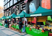 Els mercats verds, la clau per a un futur econòmic sostenible i saludable green ecomarkets mercados verdes