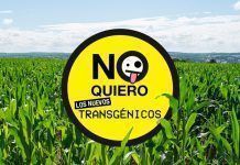 I arriben els nous transgènics, no, gràcies! greenpeace no quiero gmo