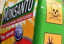 Un triomf de la lluita ciutadana: no es re-aprova el glifosat monsanto welove ttip1