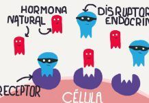 Contaminants Hormonals: La UE desaprofita una oportunitat d’or DISRRUPTORES HORMONALES