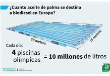 El transport per carretera devora gairebé la meitat de l’oli de palma utilitzat a Europa aceite biocombustible