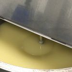 asisehace champu bio