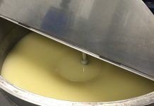 ¿Cómo se elabora un Champú? Champú ECOLÓGICO
