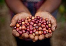 Augmenta el percentatge d’europeus disposats a pagar més per productes de Comerç Just cafe comerciojusto